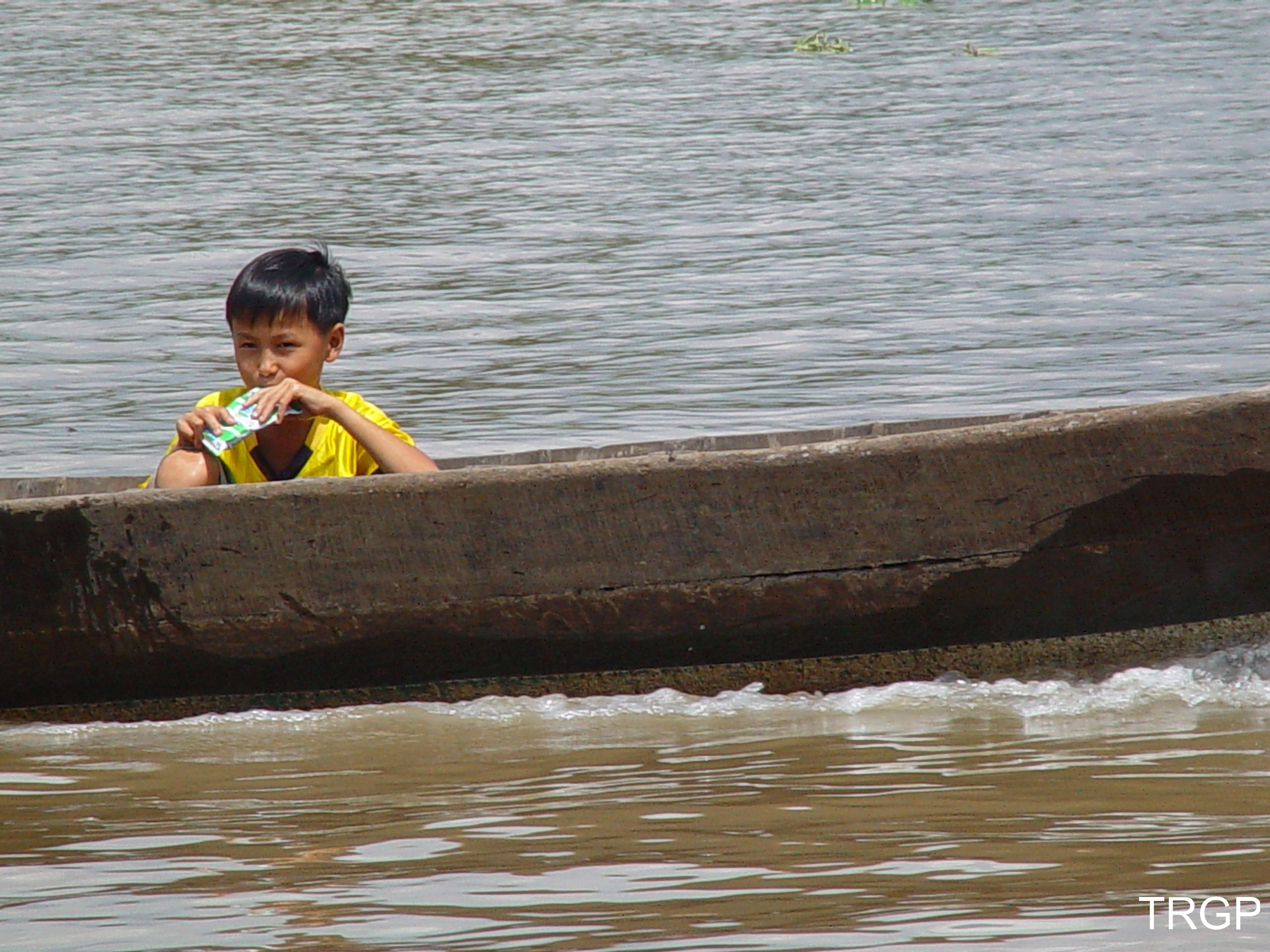Delta de Mekong