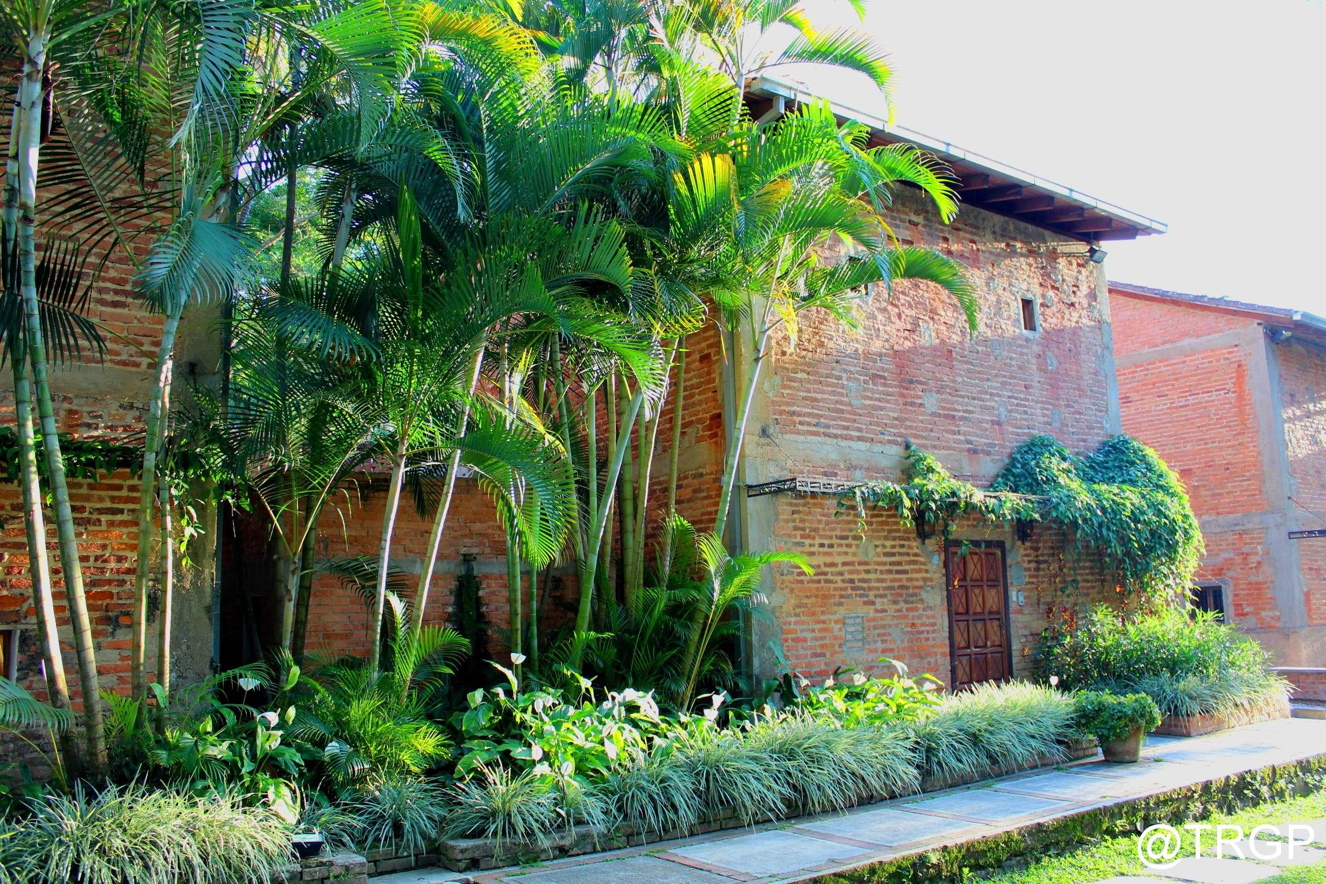 Hacienda La Trinidad