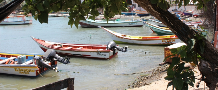 Punta Ballena