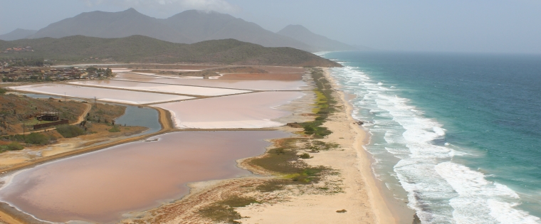 Punta Ballena