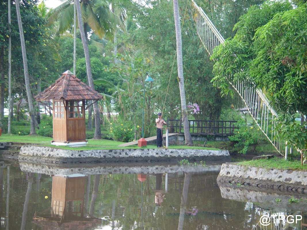 The Coconut Lagoon