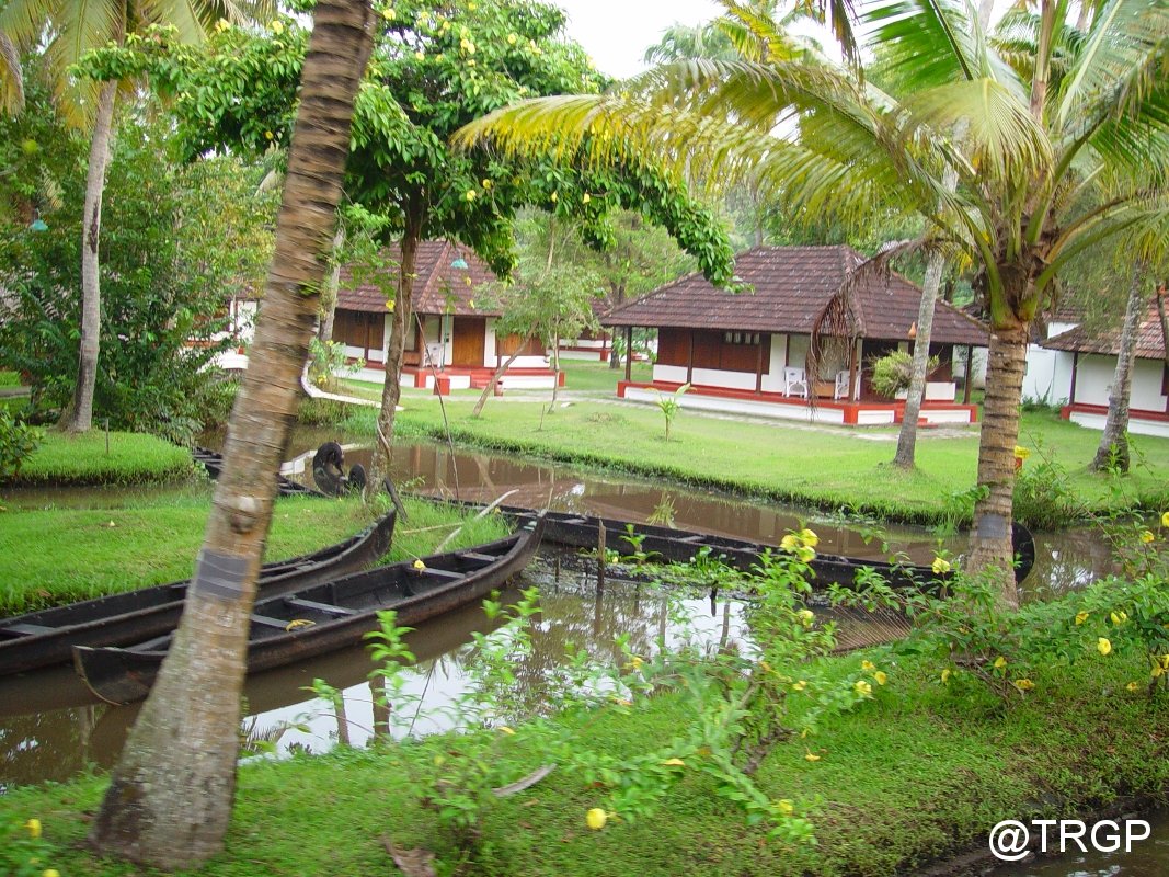 The Coconut Lagoon